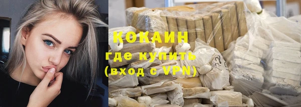 spice Алзамай