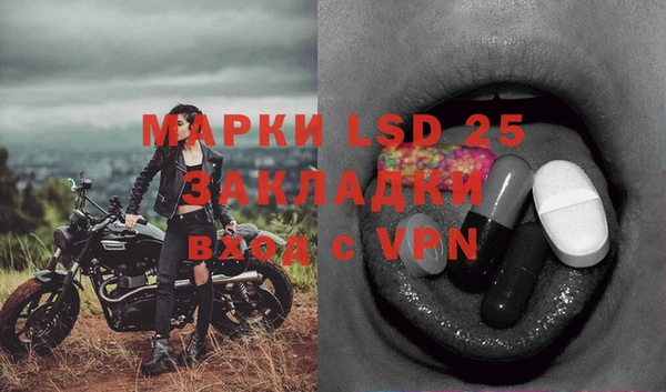 ГАЛЛЮЦИНОГЕННЫЕ ГРИБЫ Вяземский