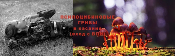spice Алзамай