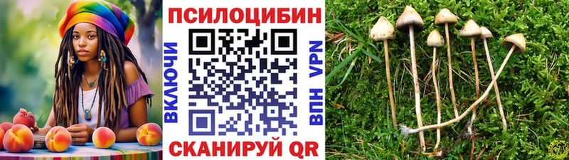 где купить наркотик  Родники  Псилоцибиновые грибы прущие грибы 